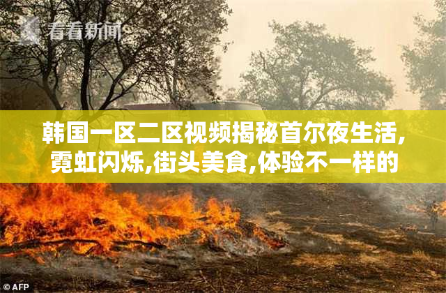 韩国一区二区视频揭秘首尔夜生活,霓虹闪烁,街头美食,体验不一样的