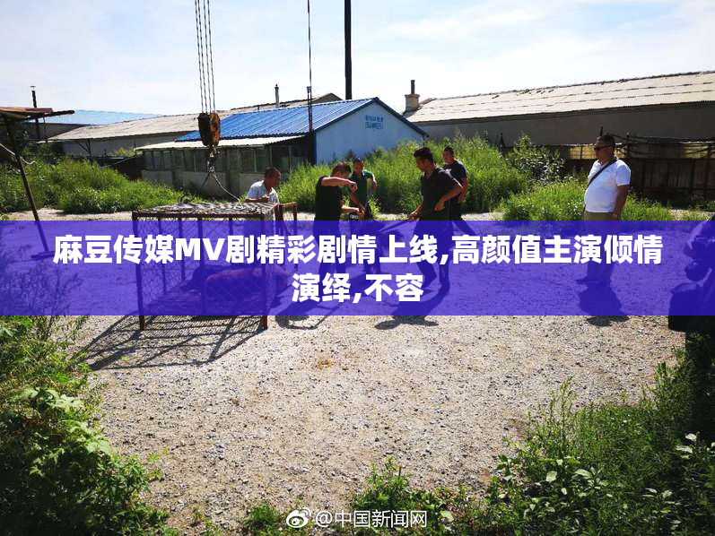 麻豆传媒MV剧精彩剧情上线,高颜值主演倾情演绎,不容
