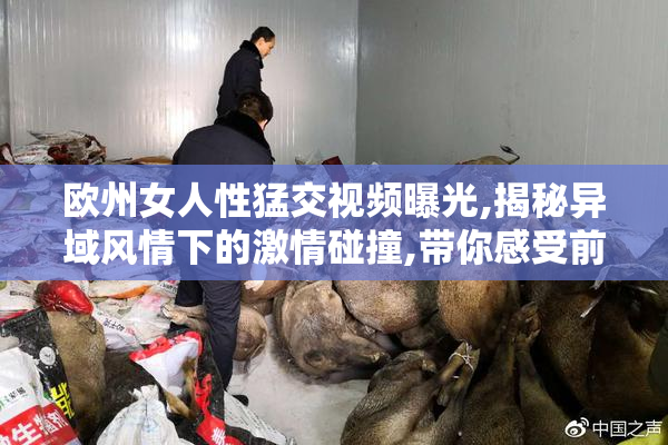 欧州女人性猛交视频曝光,揭秘异域风情下的激情碰撞,带你感受前所