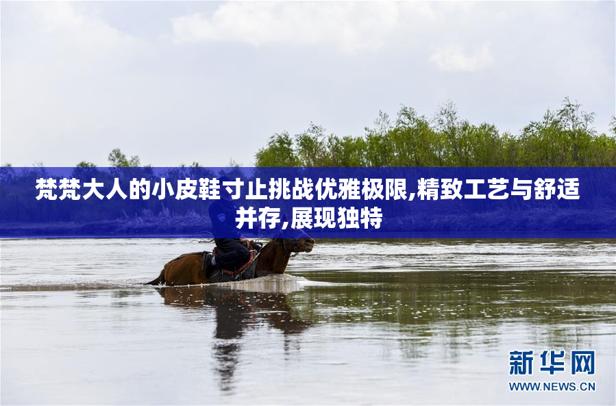 梵梵大人的小皮鞋寸止挑战优雅极限,精致工艺与舒适并存,展现独特