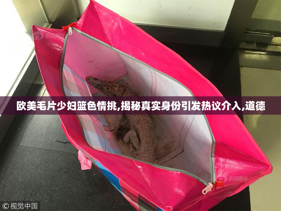 欧美毛片少妇篮色情挑,揭秘真实身份引发热议介入,道德