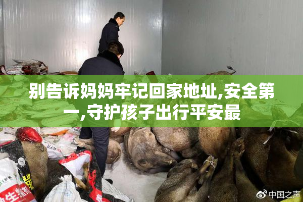 别告诉妈妈牢记回家地址,安全第一,守护孩子出行平安最