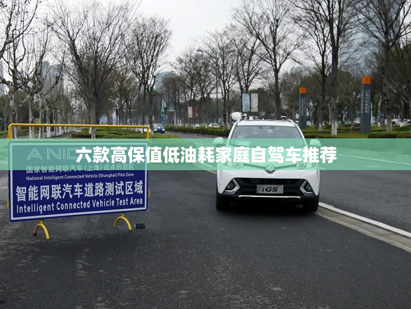 六款高保值低油耗家庭自驾车推荐