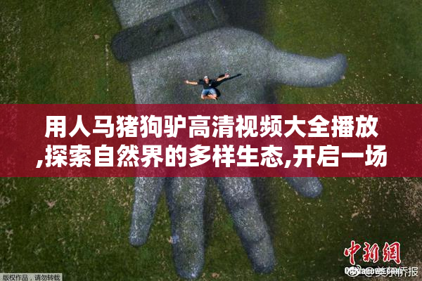 用人马猪狗驴高清视频大全播放,探索自然界的多样生态,开启一场