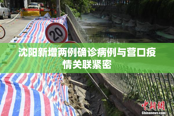 沈阳新增两例确诊病例与营口疫情关联紧密