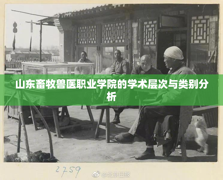 山东畜牧兽医职业学院的学术层次与类别分析