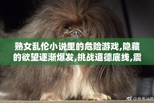 熟女乱伦小说里的危险游戏,隐藏的欲望逐渐爆发,挑战道德底线,震撼