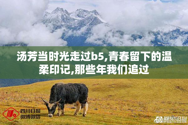 汤芳当时光走过b5,青春留下的温柔印记,那些年我们追过
