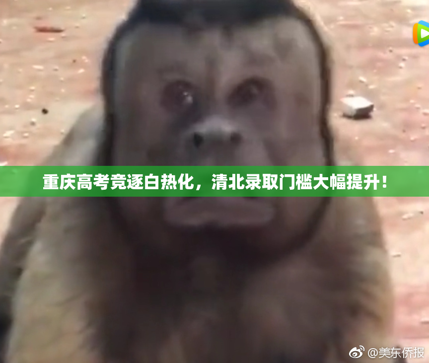 重庆高考竞逐白热化，清北录取门槛大幅提升！