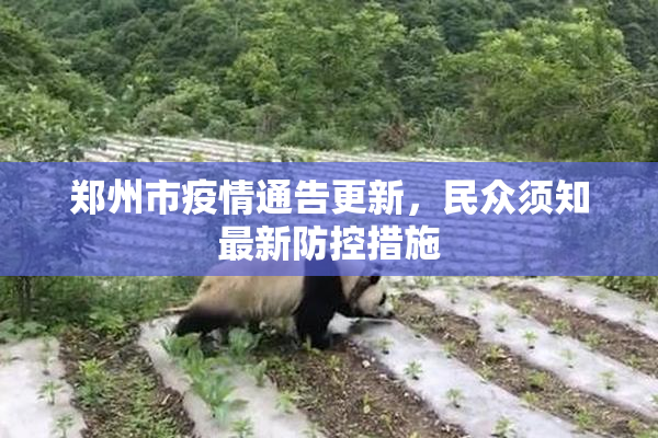 郑州市疫情通告更新，民众须知最新防控措施