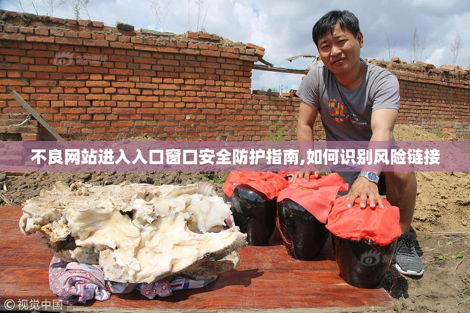 不良网站进入入口窗口安全防护指南,如何识别风险链接