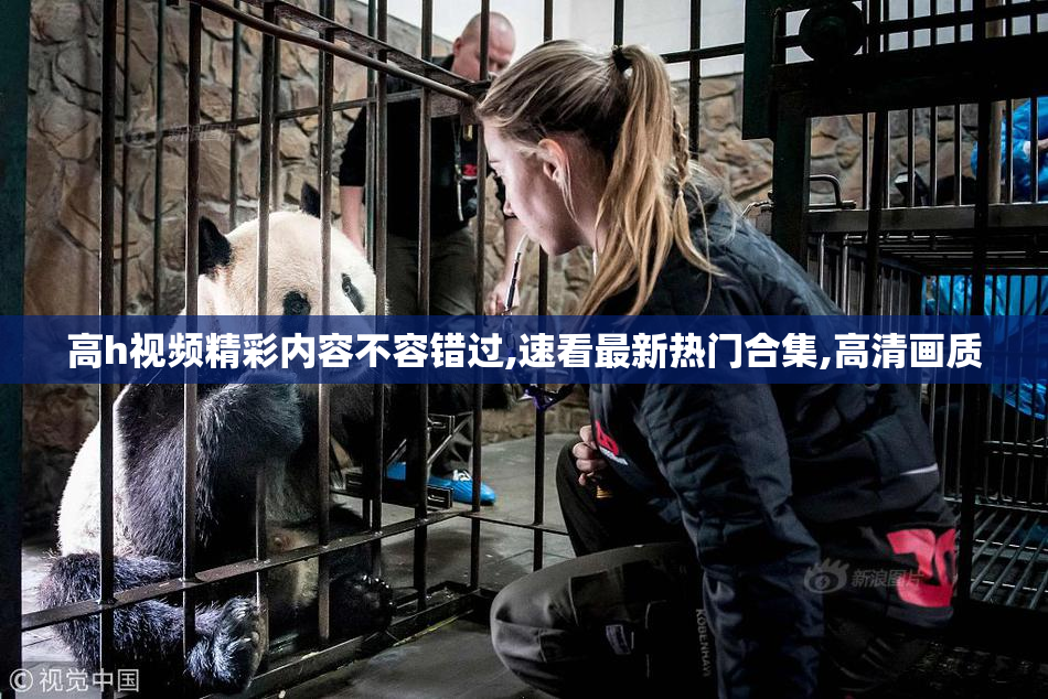 高h视频精彩内容不容错过,速看最新热门合集,高清画质