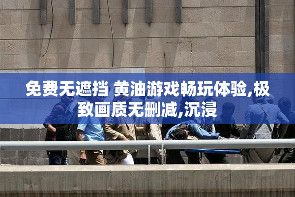 免费无遮挡 黄油游戏畅玩体验,极致画质无删减,沉浸