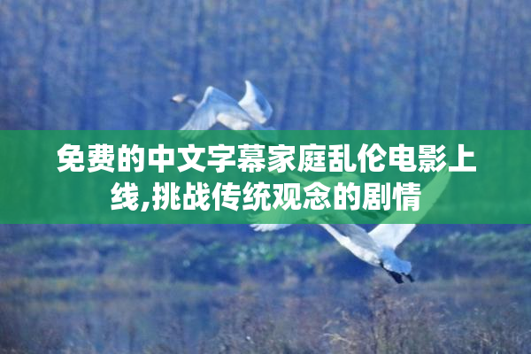 免费的中文字幕家庭乱伦电影上线,挑战传统观念的剧情