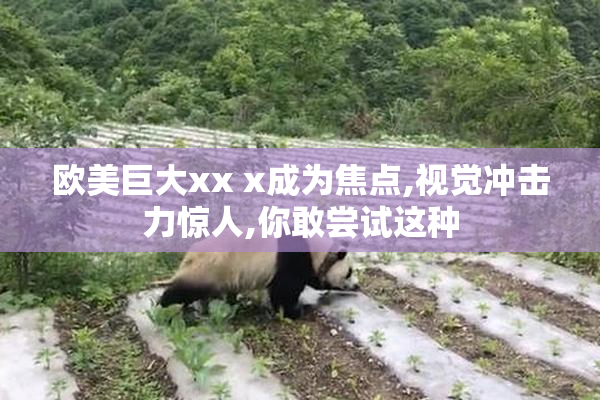 欧美巨大xx x成为焦点,视觉冲击力惊人,你敢尝试这种