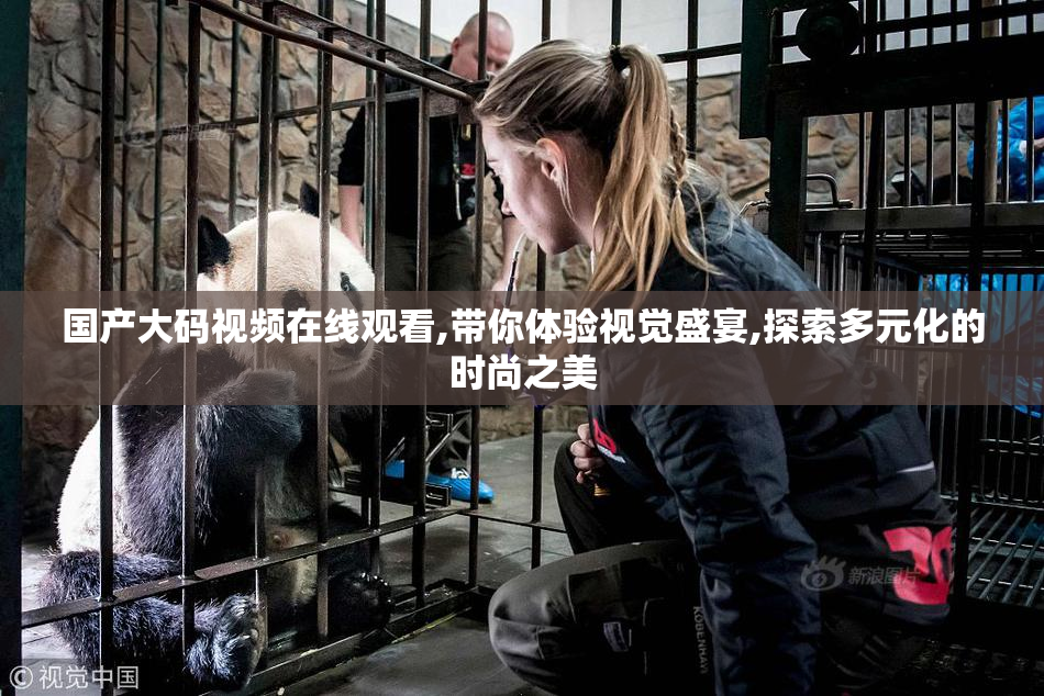 国产大码视频在线观看,带你体验视觉盛宴,探索多元化的时尚之美