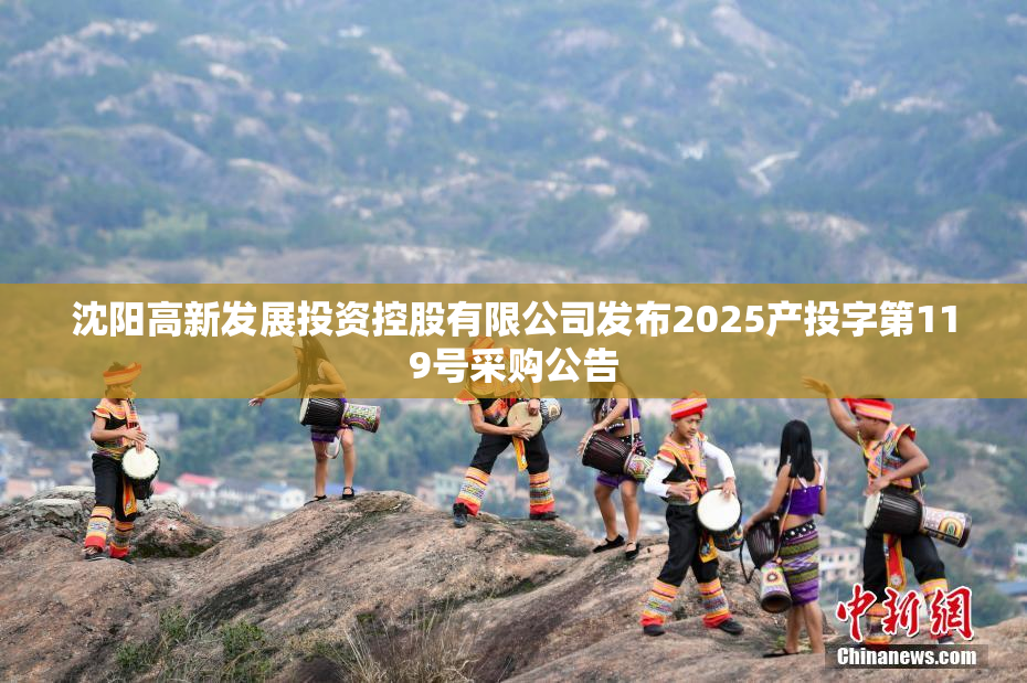 沈阳高新发展投资控股有限公司发布2025产投字第119号采购公告