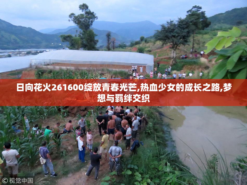日向花火261600绽放青春光芒,热血少女的成长之路,梦想与羁绊交织