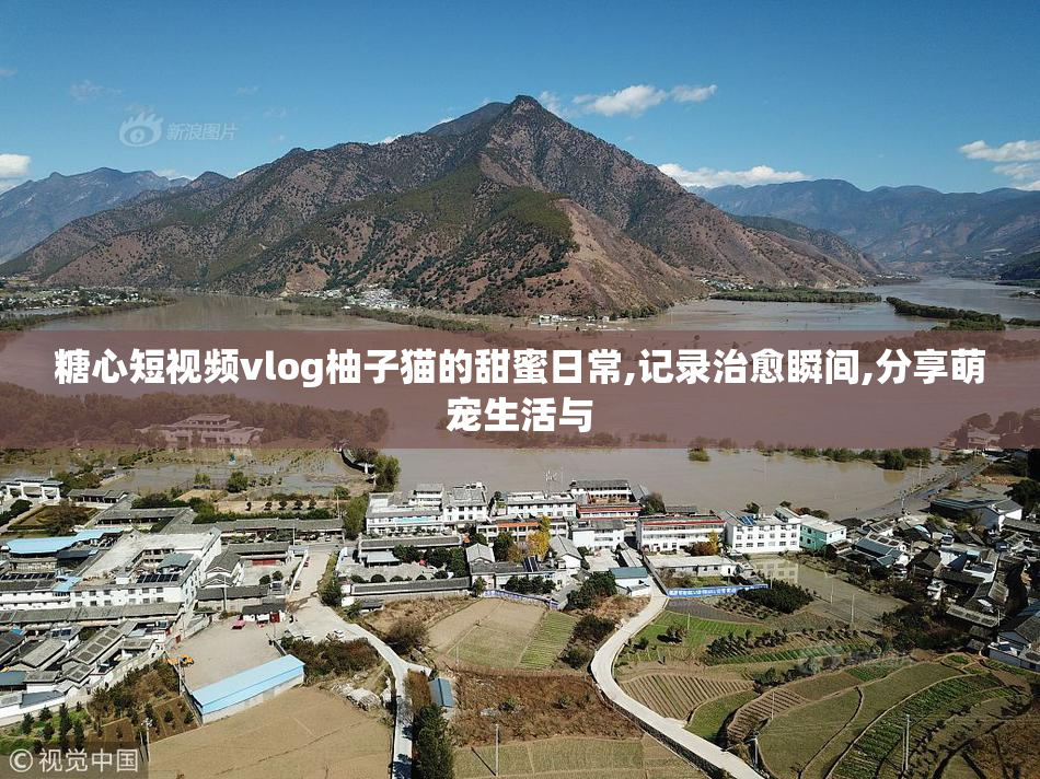糖心短视频vlog柚子猫的甜蜜日常,记录治愈瞬间,分享萌宠生活与