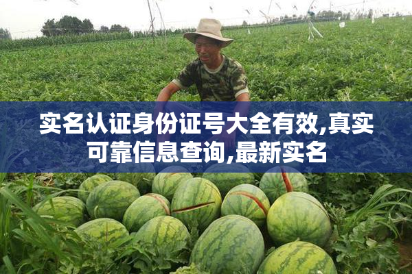 实名认证身份证号大全有效,真实可靠信息查询,最新实名
