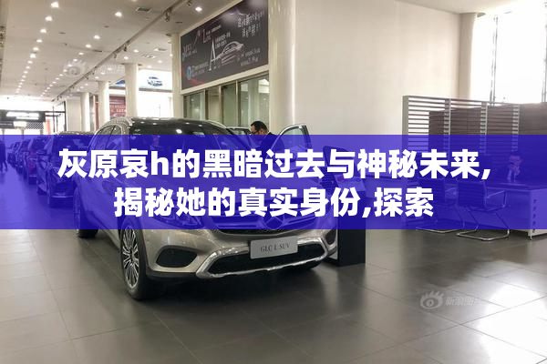 灰原哀h的黑暗过去与神秘未来,揭秘她的真实身份,探索