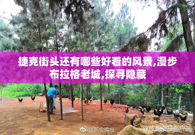 捷克街头还有哪些好看的风景,漫步布拉格老城,探寻隐藏