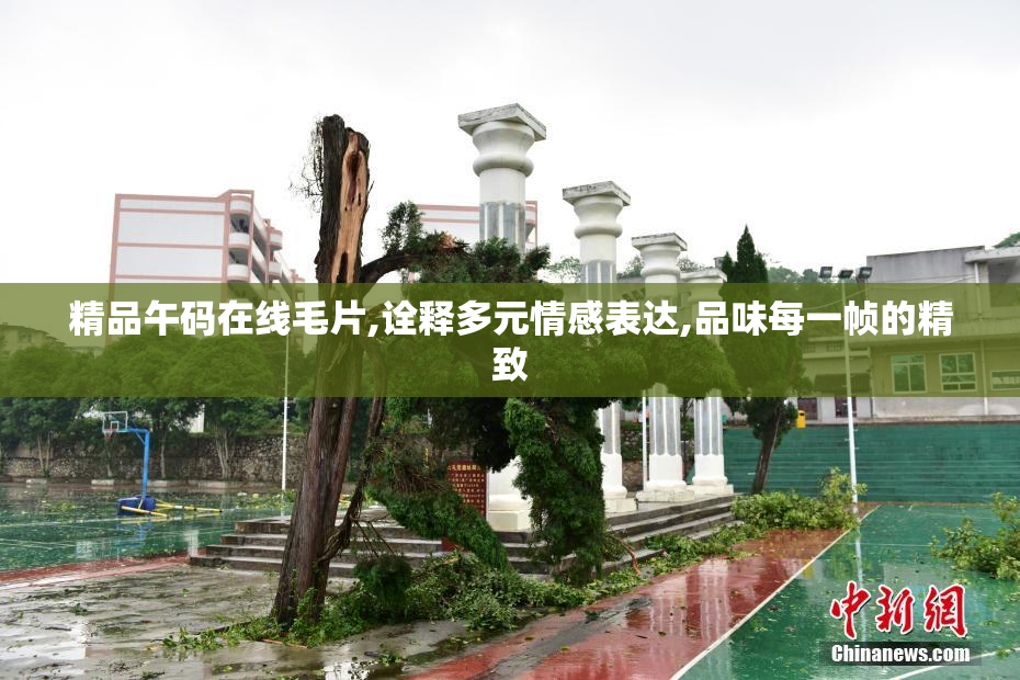 精品午码在线毛片,诠释多元情感表达,品味每一帧的精致