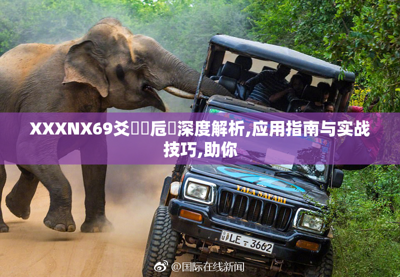 XXXNX69爻賶賰卮賶深度解析,应用指南与实战技巧,助你