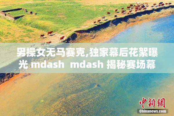 男操女无马赛克,独家幕后花絮曝光 mdash  mdash 揭秘赛场幕后