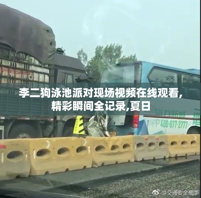 李二狗泳池派对现场视频在线观看,精彩瞬间全记录,夏日