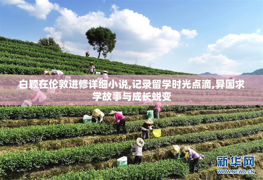 白颖在伦敦进修详细小说,记录留学时光点滴,异国求学故事与成长蜕变