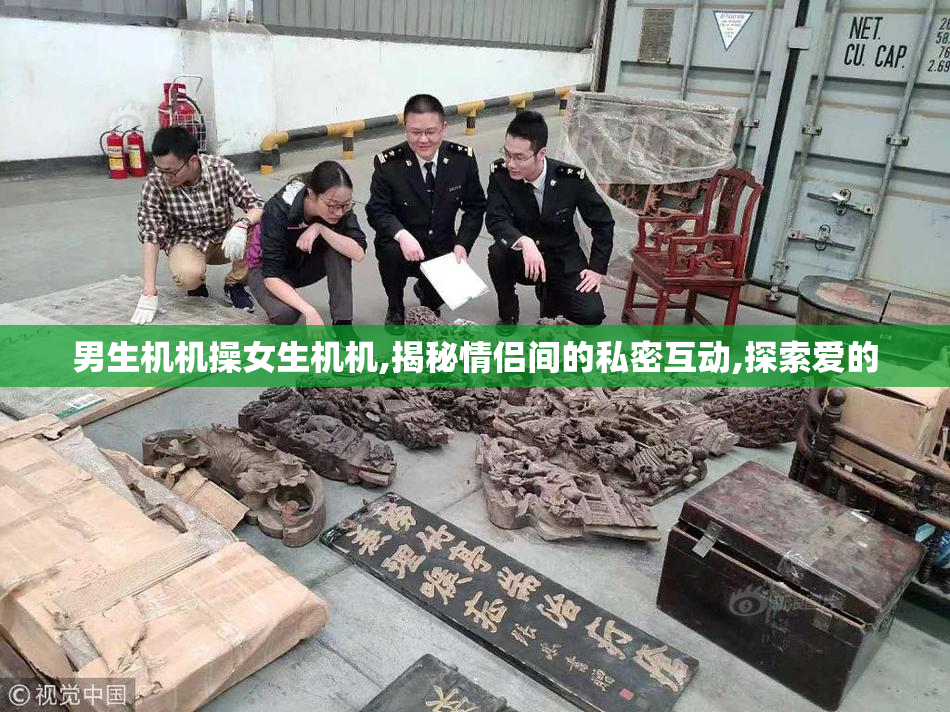 男生机机操女生机机,揭秘情侣间的私密互动,探索爱的