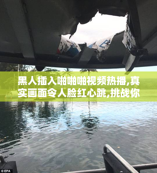 黑人插入啪啪啪视频热播,真实画面令人脸红心跳,挑战你的视觉与