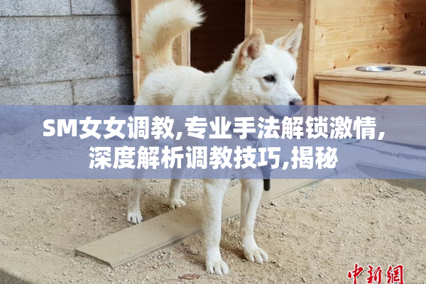 SM女女调教,专业手法解锁激情,深度解析调教技巧,揭秘