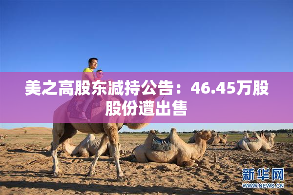 美之高股东减持公告：46.45万股股份遭出售