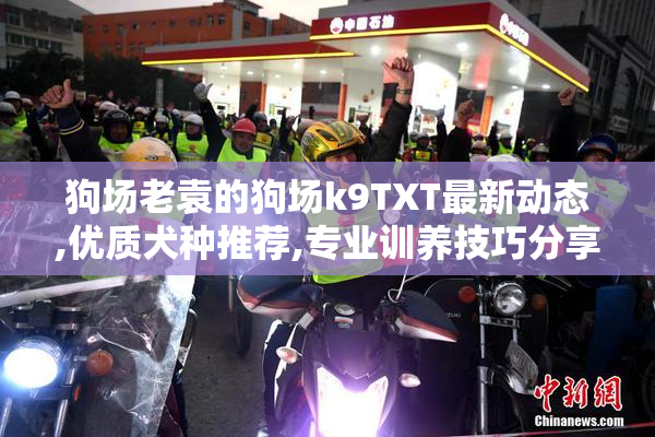 狗场老袁的狗场k9TXT最新动态,优质犬种推荐,专业训养技巧分享