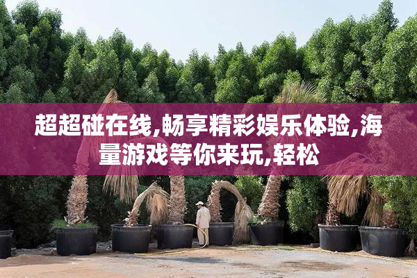 超超碰在线,畅享精彩娱乐体验,海量游戏等你来玩,轻松
