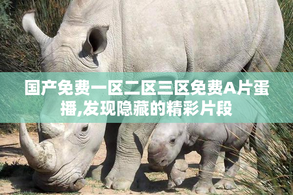 国产免费一区二区三区免费A片蛋播,发现隐藏的精彩片段