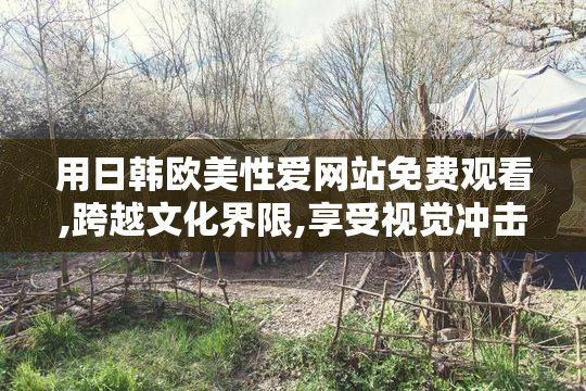 用日韩欧美性爱网站免费观看,跨越文化界限,享受视觉冲击,激发无限