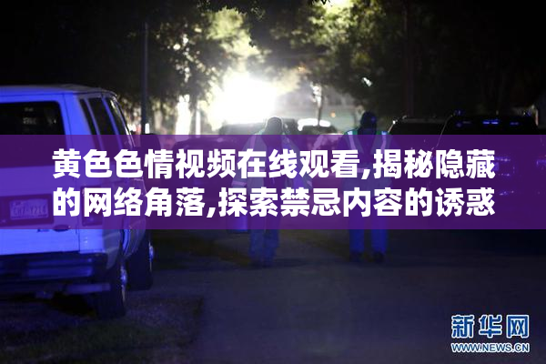 黄色色情视频在线观看,揭秘隐藏的网络角落,探索禁忌内容的诱惑之