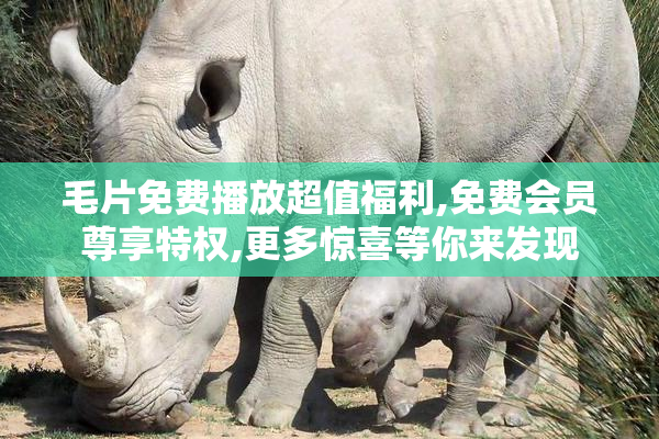 毛片免费播放超值福利,免费会员尊享特权,更多惊喜等你来发现