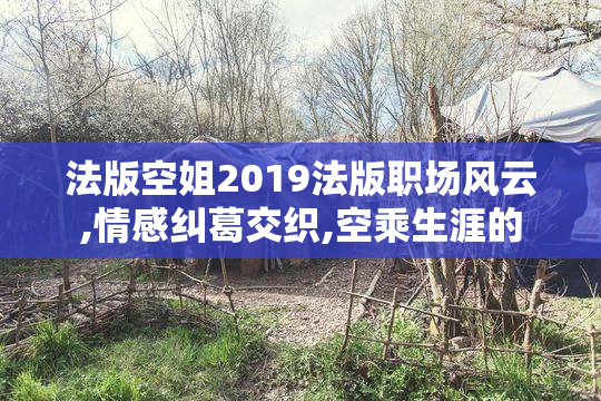 法版空姐2019法版职场风云,情感纠葛交织,空乘生涯的