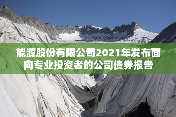 能源股份有限公司2021年发布面向专业投资者的公司债券报告