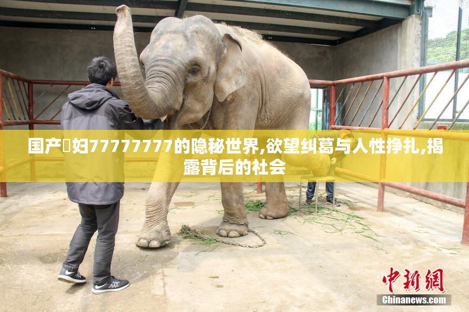 国产婬妇77777777的隐秘世界,欲望纠葛与人性挣扎,揭露背后的社会