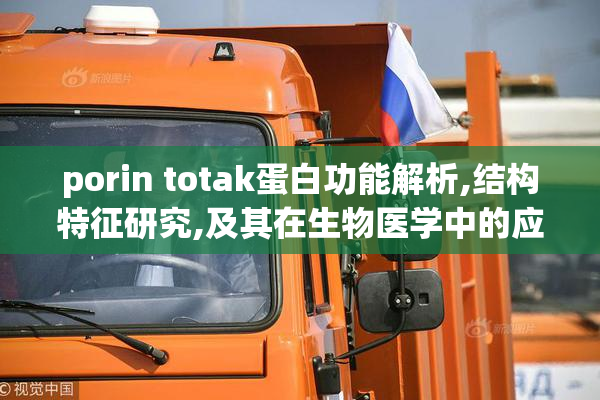 porin totak蛋白功能解析,结构特征研究,及其在生物医学中的应用前景