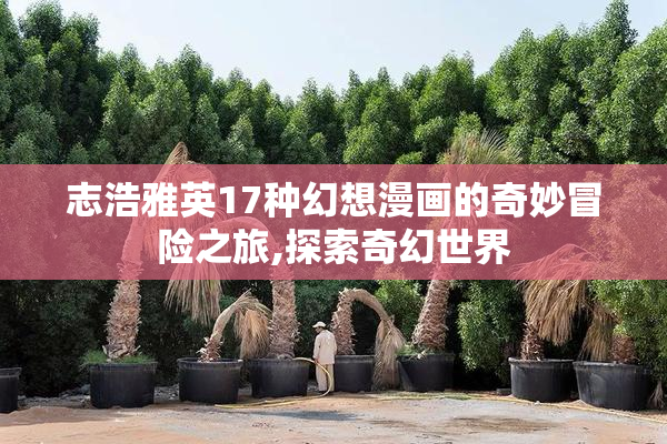 志浩雅英17种幻想漫画的奇妙冒险之旅,探索奇幻世界