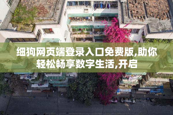 细狗网页端登录入口免费版,助你轻松畅享数字生活,开启