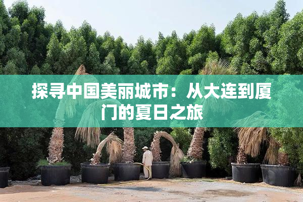 探寻中国美丽城市：从大连到厦门的夏日之旅