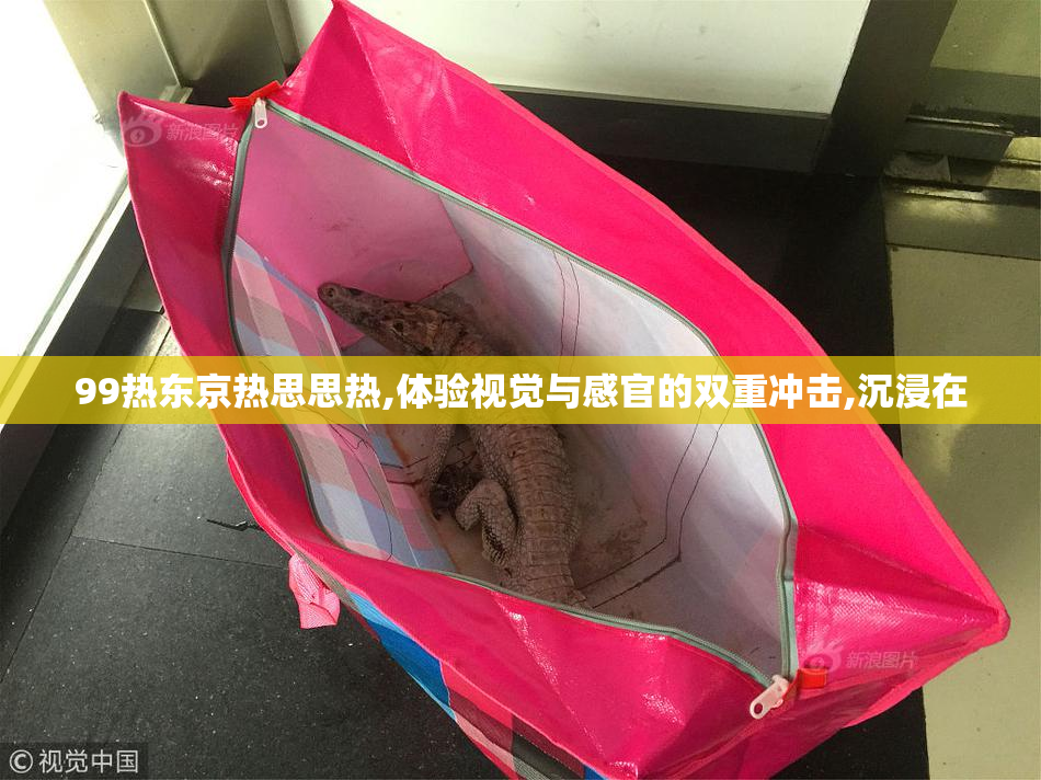 99热东京热思思热,体验视觉与感官的双重冲击,沉浸在