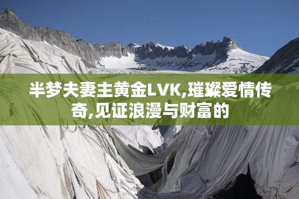 半梦夫妻主黄金LVK,璀璨爱情传奇,见证浪漫与财富的